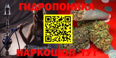 jwh Моздок
