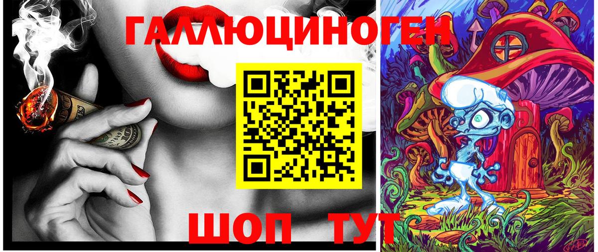 Галлюциногенные грибы Psilocybine cubensis Жигулёвск